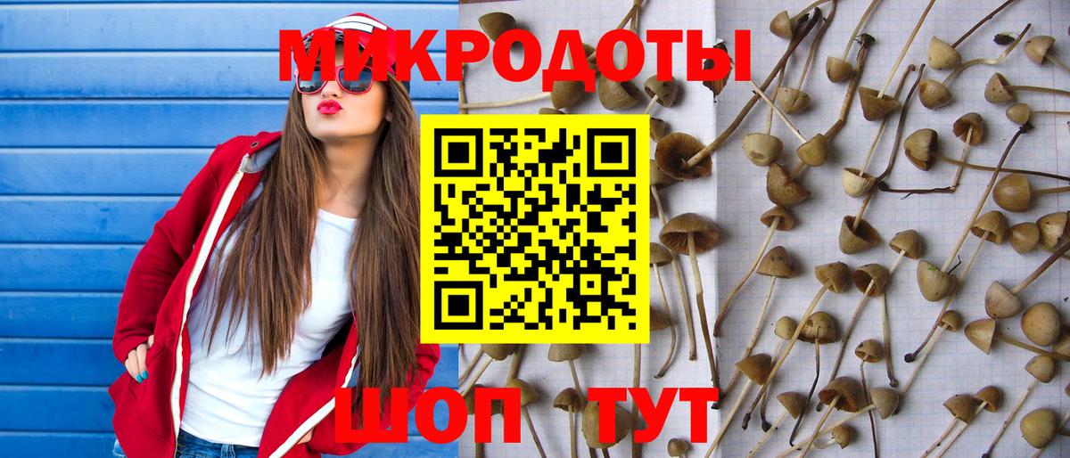 Шарыпово  Галлюциногенные грибы мицелий  Вход с VPN 