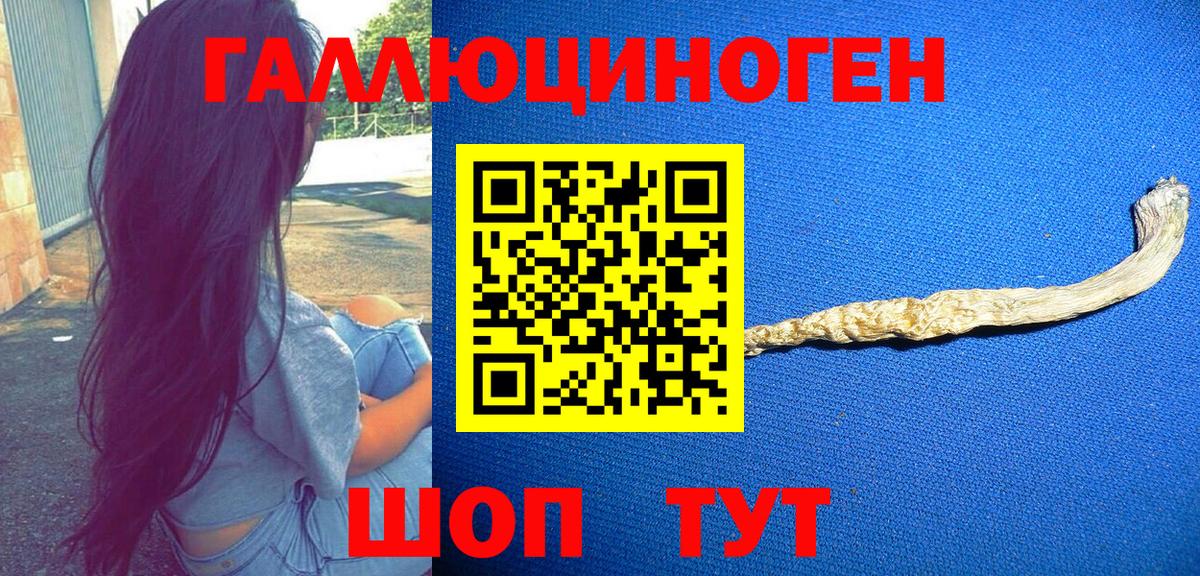 Псилоцибиновые грибы мицелий Шарыпово